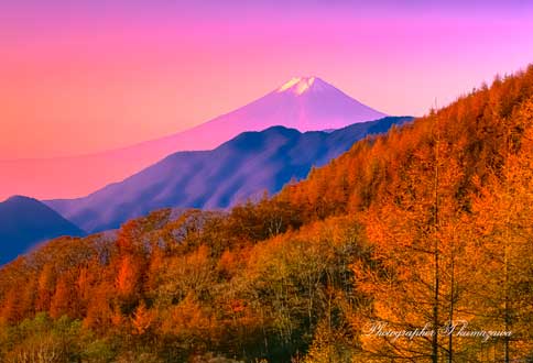20061105-otsukishi_Otoge45240